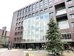 マルチメディア館とクリスマスツリー