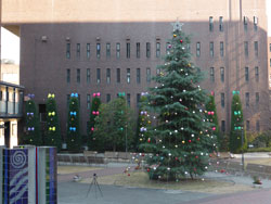 クリスマス仕様のもみの木広場